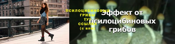 ECSTASY Володарск