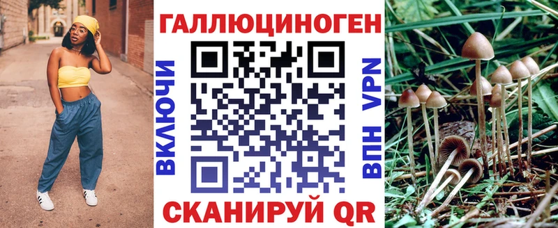 Купить где  Малоархангельск  Псилоцибиновые грибы Psilocybe 